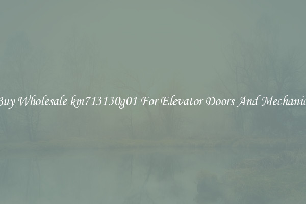 Buy Wholesale km713130g01 For Elevator Doors And Mechanics