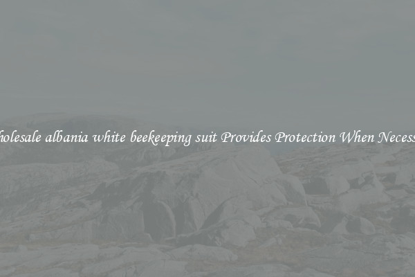 Wholesale albania white beekeeping suit Provides Protection When Necessary