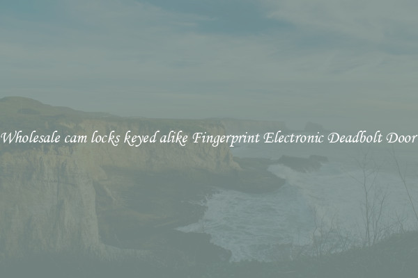 Wholesale cam locks keyed alike Fingerprint Electronic Deadbolt Door 