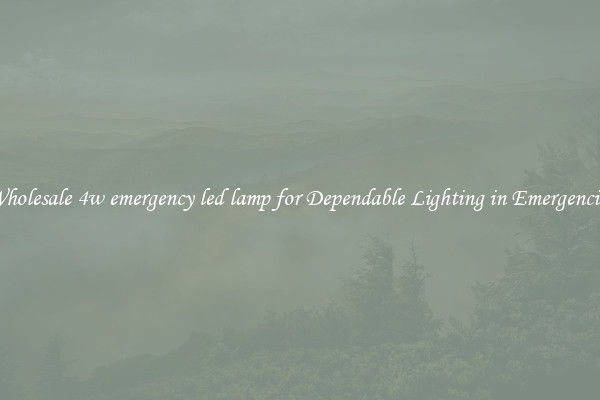 Wholesale 4w emergency led lamp for Dependable Lighting in Emergencies