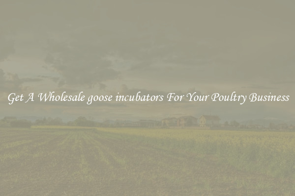 Get A Wholesale goose incubators For Your Poultry Business