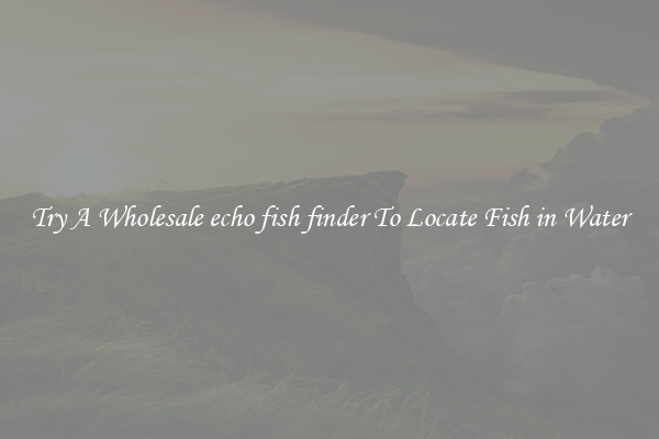 Try A Wholesale echo fish finder To Locate Fish in Water
