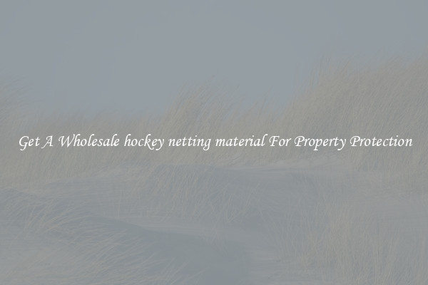 Get A Wholesale hockey netting material For Property Protection