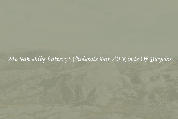 24v 9ah ebike battery Wholesale For All Kinds Of Bicycles