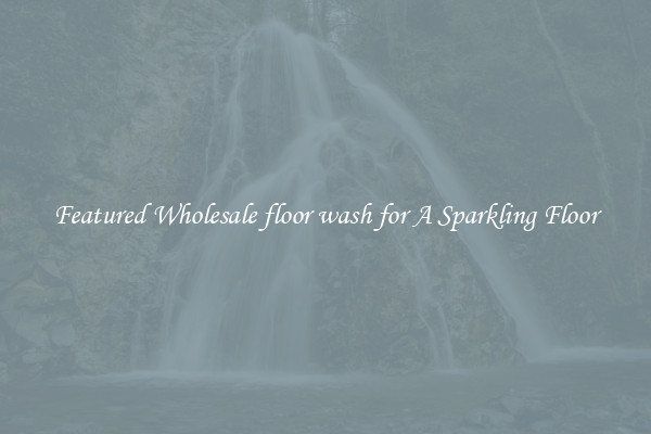 Featured Wholesale floor wash for A Sparkling Floor