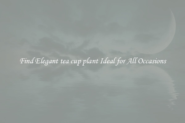 Find Elegant tea cup plant Ideal for All Occasions