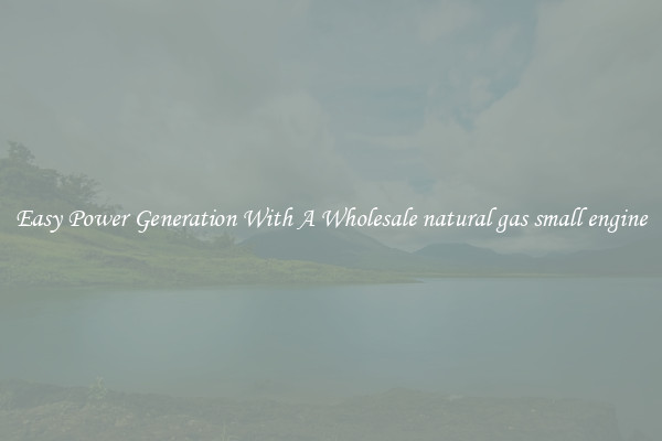 Easy Power Generation With A Wholesale natural gas small engine