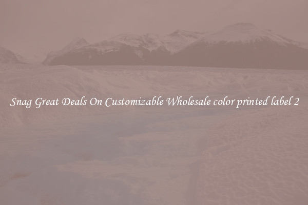 Snag Great Deals On Customizable Wholesale color printed label 2