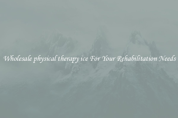 Wholesale physical therapy ice For Your Rehabilitation Needs