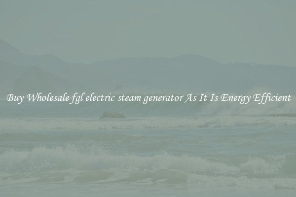 Buy Wholesale fgl electric steam generator As It Is Energy Efficient