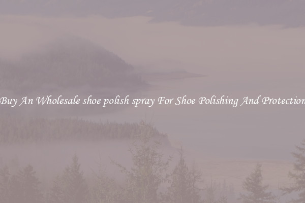 Buy An Wholesale shoe polish spray For Shoe Polishing And Protection