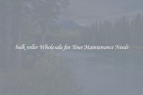 bulk roller Wholesale for Your Maintenance Needs