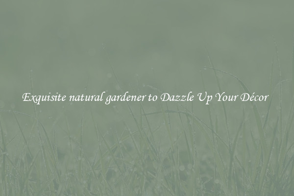 Exquisite natural gardener to Dazzle Up Your Décor  