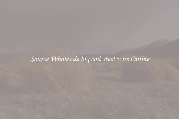 Source Wholesale big coil steel wire Online