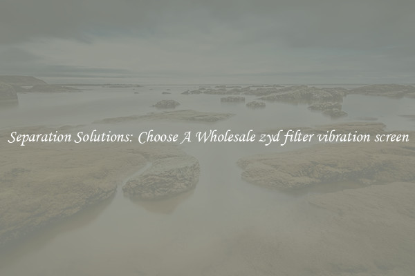 Separation Solutions: Choose A Wholesale zyd filter vibration screen