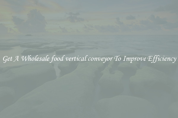 Get A Wholesale food vertical conveyor To Improve Efficiency