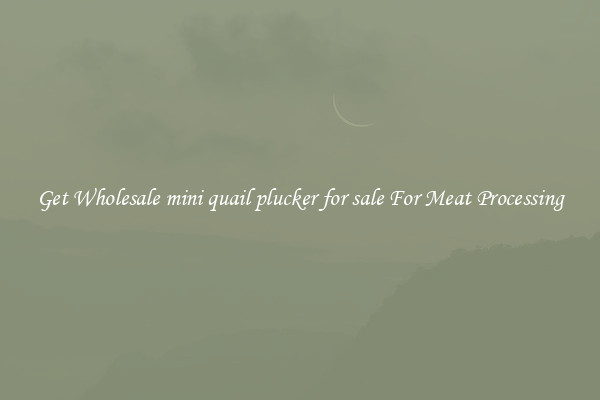 Get Wholesale mini quail plucker for sale For Meat Processing