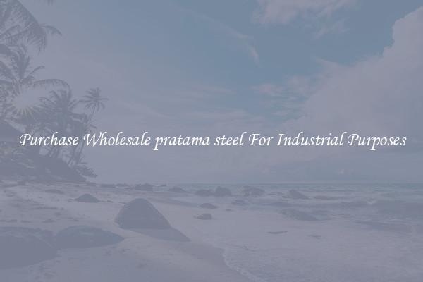 Purchase Wholesale pratama steel For Industrial Purposes