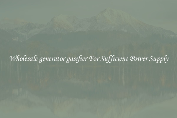 Wholesale generator gasifier For Sufficient Power Supply
