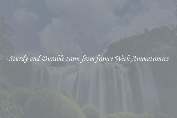 Sturdy and Durable train from france With Animatronics