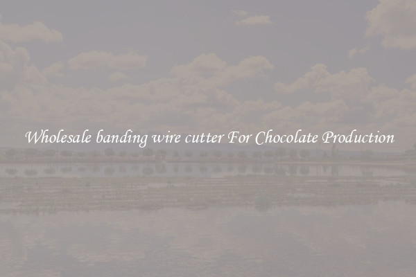Wholesale banding wire cutter For Chocolate Production