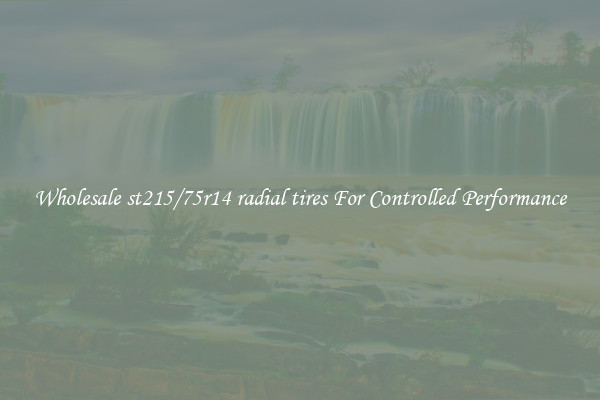 Wholesale st215/75r14 radial tires For Controlled Performance